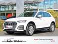 Audi Q5 40TDI qu S-tronic AHK NAVI+ VC SPORTSITZE Weiß - thumbnail 1