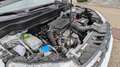 Suzuki Vitara 1.4 Boosterjet Hybrid Allgrip Comfort+ Weiß - thumbnail 5