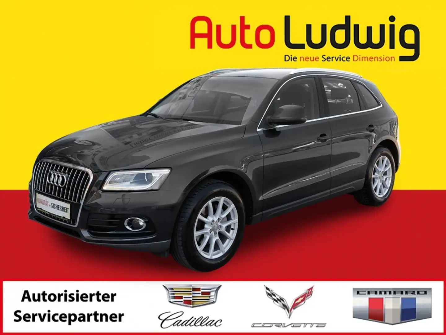 Audi Q5 2,0 TDI Style DPF*PARKASSIST*XENON*SHZ*TEMPOMAT* Grau - 1