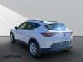 CUPRA Formentor 1.5 *Navi*Beats*Winter*360*L*CarPlay* Weiß - thumbnail 5
