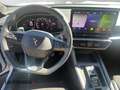 CUPRA Formentor 1.5 *Navi*Beats*Winter*360*L*CarPlay* Weiß - thumbnail 10