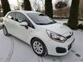 Kia Rio Rio 1,2 CVVT Cool Blockbuster Cool Blockbuster - thumbnail 1