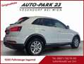 Audi Q3 Q3 2,0 TDI**Offroad Daylight**NUR145.000KM*MOD2015 Weiß - thumbnail 4