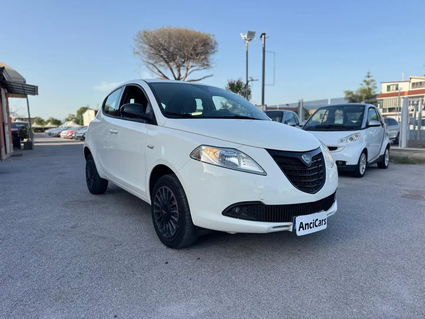 Lancia Ypsilon Ypsilon 0.9 TwinAir 85 CV 5 porte Metano Ecochic Blanco - 2