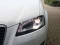 Audi A3 Sportback 1.2 TFSI Attraction Advance / Export / 3 Blanc - thumbnail 7