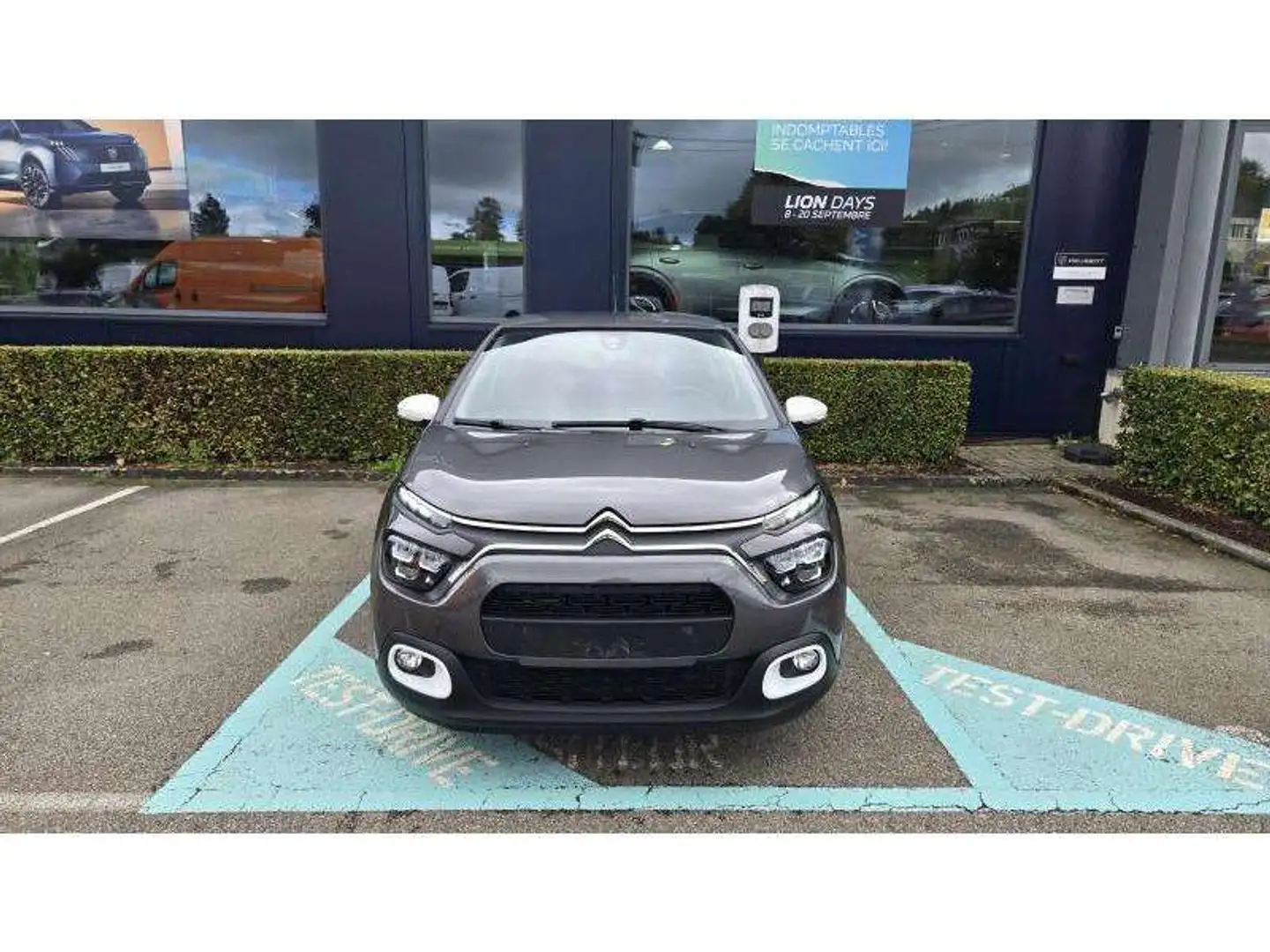 Citroen C3 III You Gris - 2
