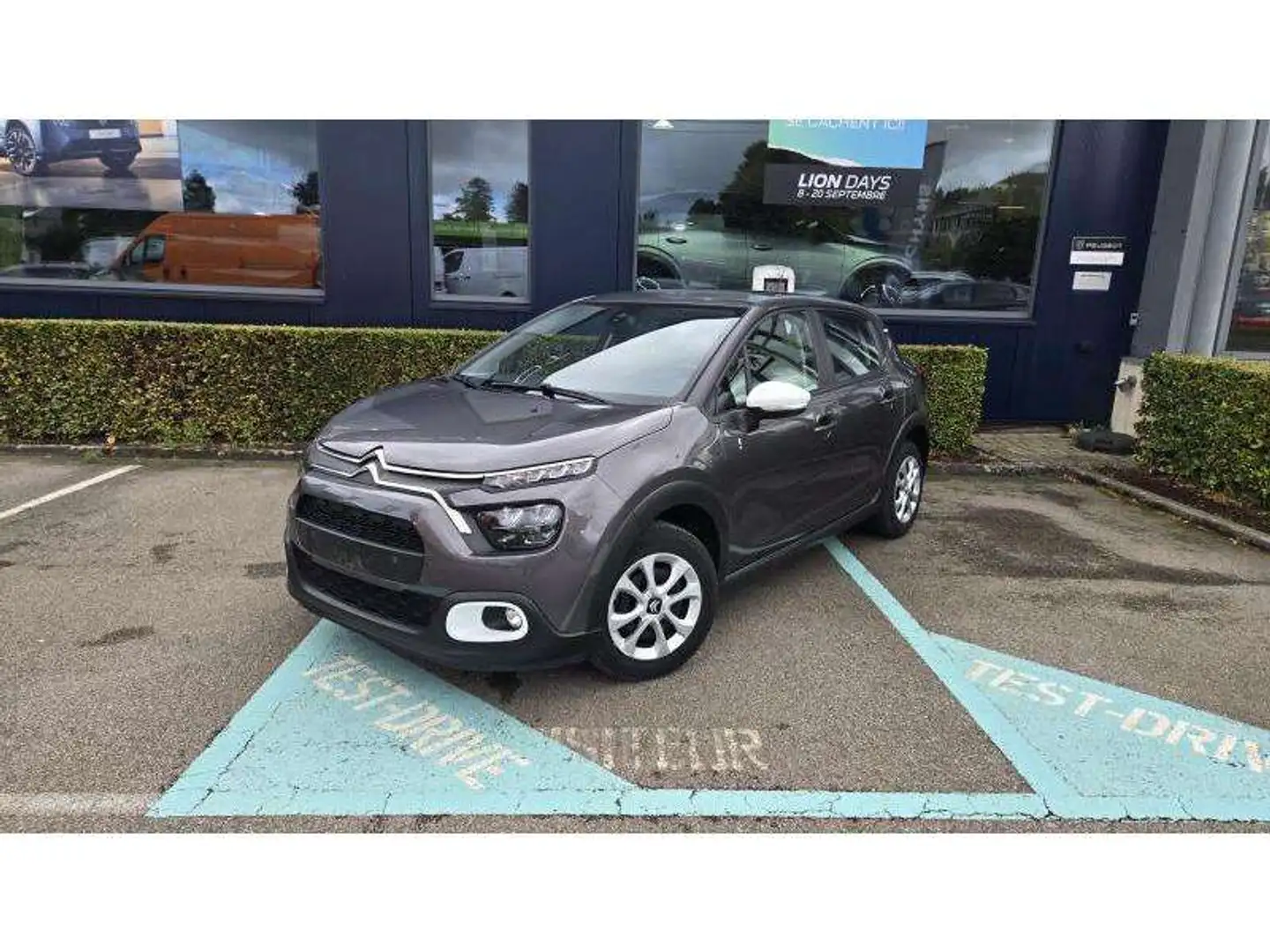 Citroen C3 III You Gris - 1