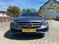Mercedes-Benz E 400 d T-Modell 4Matic,MULTIBEAM,360 Grad,SH,WKR,Alus,S Gris - thumbnail 5