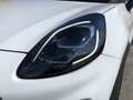 Ford Puma '19-> - Puma 1.0 EcoBoost 125 CV S&S Titanium Blanc - thumbnail 8