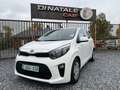 Kia Picanto Picanto 1.2i Automatique - Faible km - Garantie Weiß - thumbnail 1