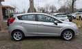 Ford Fiesta 1.25. Unieke KM-stand! 1ste eigenaar, onderhoudshi Grau - thumbnail 6