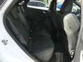 Ford Puma 1.5 EcoBoost ST Blanc - thumbnail 10