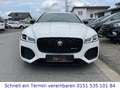 Jaguar XF Sportbrake R-Dynamic Black AWD*SCHECKHEFT*ACC Bílá - thumbnail 3