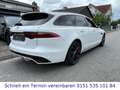Jaguar XF Sportbrake R-Dynamic Black AWD*SCHECKHEFT*ACC Bílá - thumbnail 7