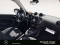 smart forTwo fortwo 52 kW twinamic LED*SHZ*COOL&AUDIO* Gris - thumbnail 15