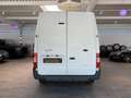Ford Transit Hoch+Lang Kühlwagen -20C. *Garantie* Alb - thumbnail 13