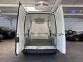 Ford Transit Hoch+Lang Kühlwagen -20C. *Garantie* Alb - thumbnail 2