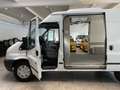 Ford Transit Hoch+Lang Kühlwagen -20C. *Garantie* Alb - thumbnail 4