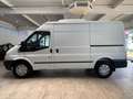 Ford Transit Hoch+Lang Kühlwagen -20C. *Garantie* Alb - thumbnail 14