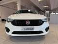 Fiat Tipo 1.4 5 porte Street OK NEOPATENTATI PREZZO REALE White - thumbnail 12