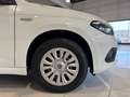 Fiat Tipo 1.4 5 porte Street OK NEOPATENTATI PREZZO REALE White - thumbnail 14