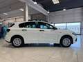 Fiat Tipo 1.4 5 porte Street OK NEOPATENTATI PREZZO REALE White - thumbnail 19