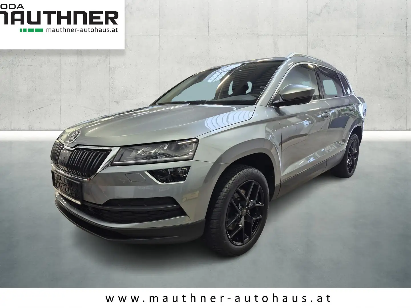 Skoda Karoq Style 4x4 Grau - 1