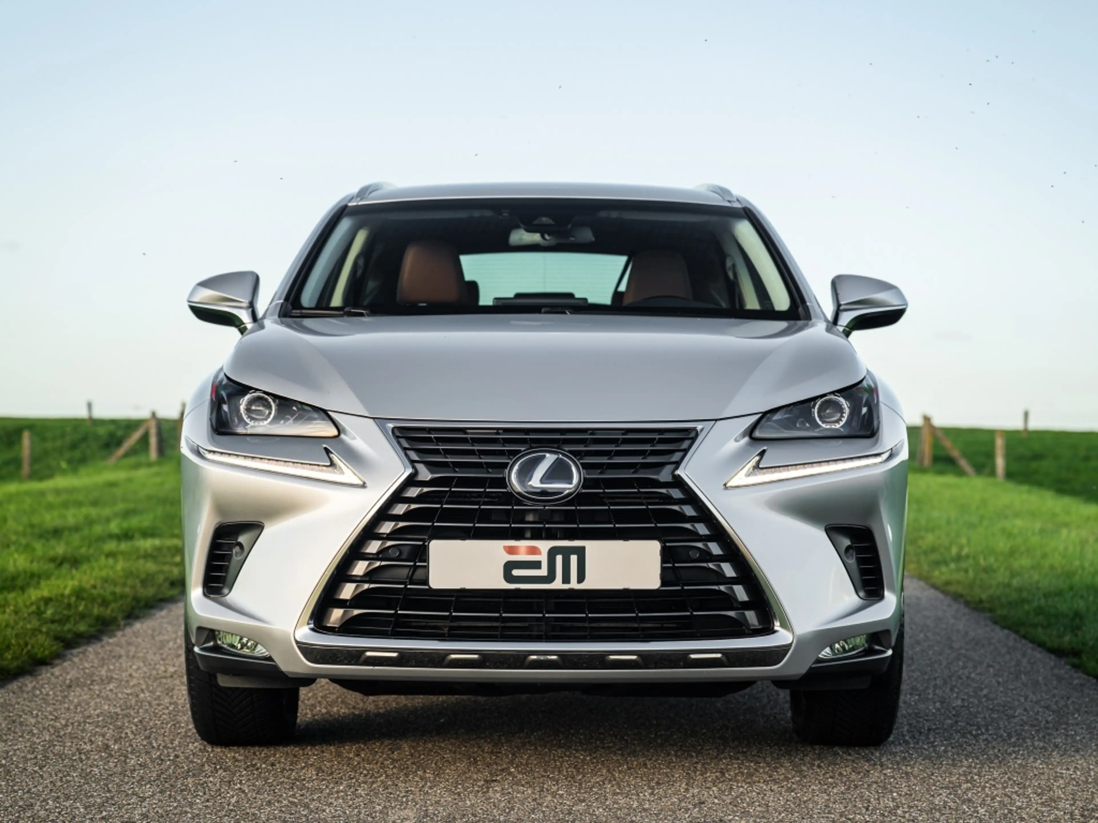 Lexus NX 300h AWD Luxery Facelift Leder Adaptive Cruise etc. — photo 3