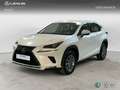 Lexus NX 300h 2WD WG BUSINESS NAVIGATION Bianco - thumbnail 1
