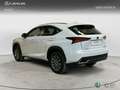 Lexus NX 300h 2WD WG BUSINESS NAVIGATION Bianco - thumbnail 2
