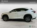 Lexus NX 300h 2WD WG BUSINESS NAVIGATION Bianco - thumbnail 3