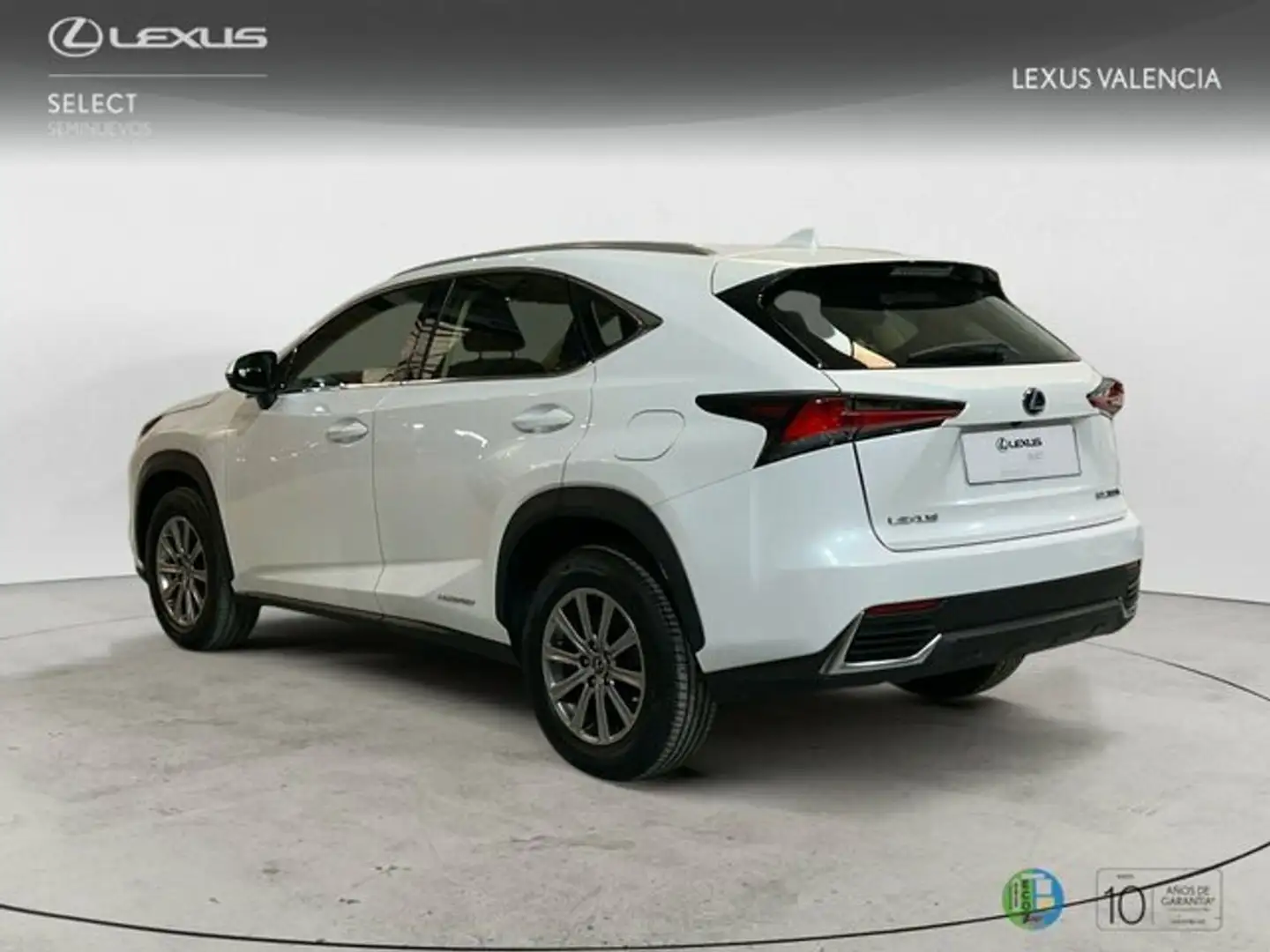 Lexus NX 300h 2WD WG BUSINESS NAVIGATION Білий - 2