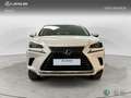 Lexus NX 300h 2WD WG BUSINESS NAVIGATION Blanc - thumbnail 5