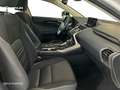 Lexus NX 300h 2WD WG BUSINESS NAVIGATION Blanc - thumbnail 6