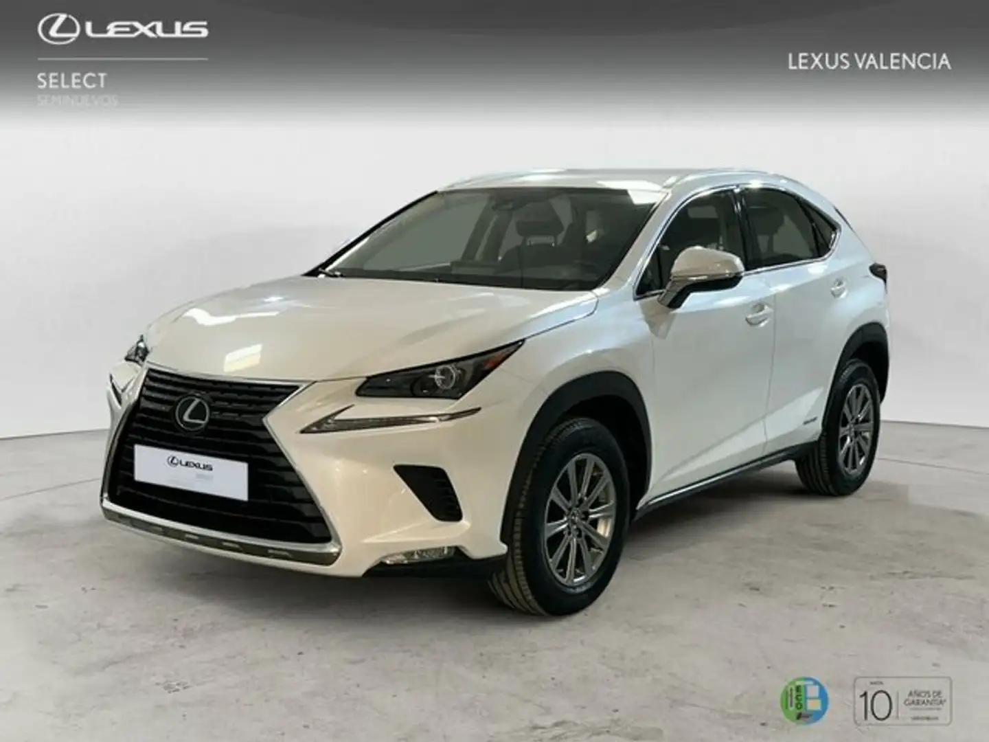 Lexus NX 300h 2WD WG BUSINESS NAVIGATION Білий - 1
