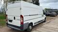 Citroen Jumper bijela - thumbnail 2
