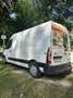 Opel Movano 2.3 CDTI L2H2 DPF 2WD VA - thumbnail 3