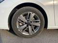 Peugeot 308 III 2021 SW SW 1.5 bluehdi Allure s&s 130cv eat8 Bianco - thumbnail 9