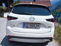 Mazda CX-5 CX-5 CD150 Skyactiv D Newground Newground Weiß - thumbnail 2