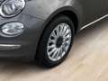 Fiat 500 Cabrio Dolcevita Grau - thumbnail 7