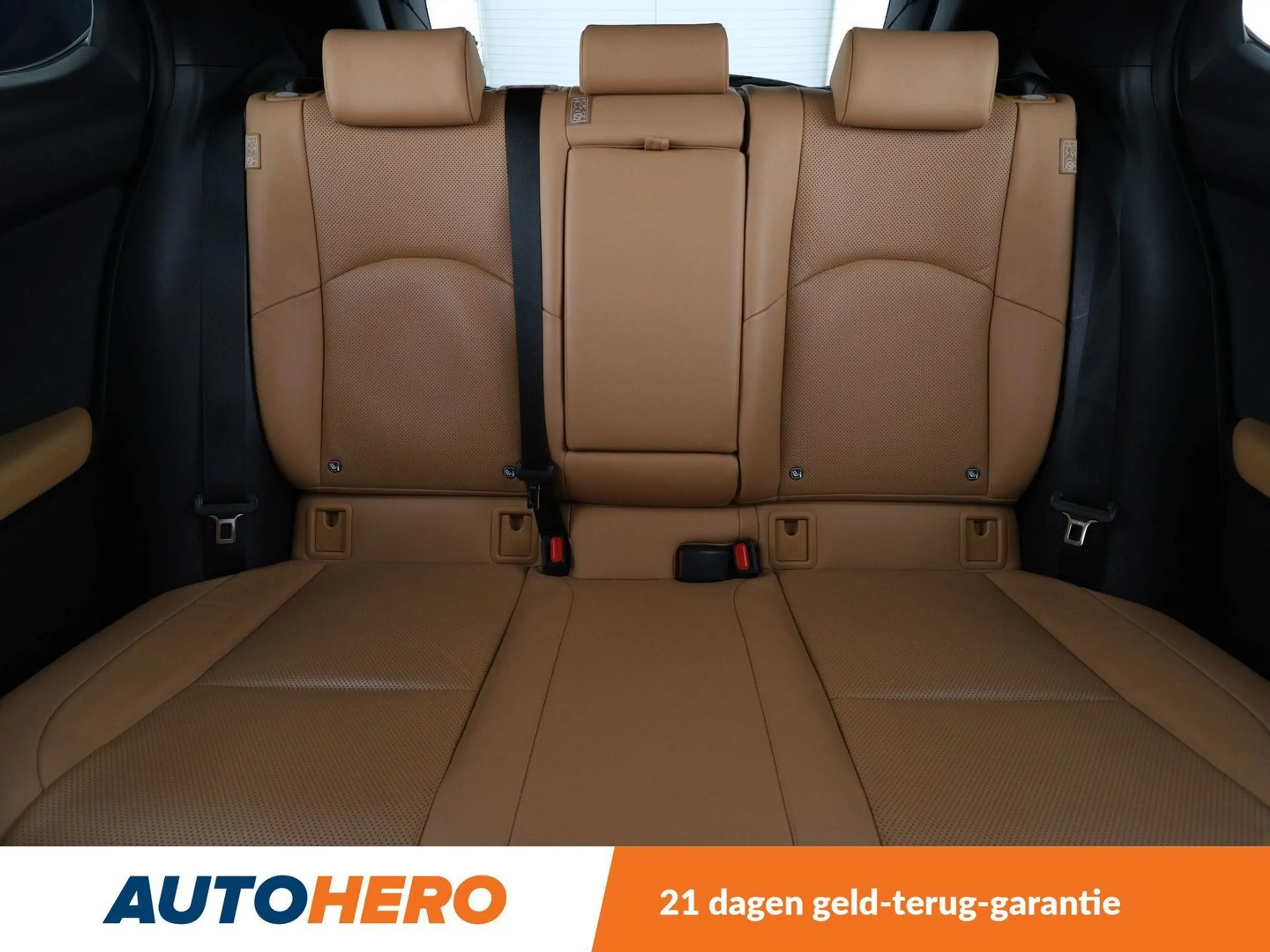 Lexus UX 250h UX 250h Luxury Line — photo 15