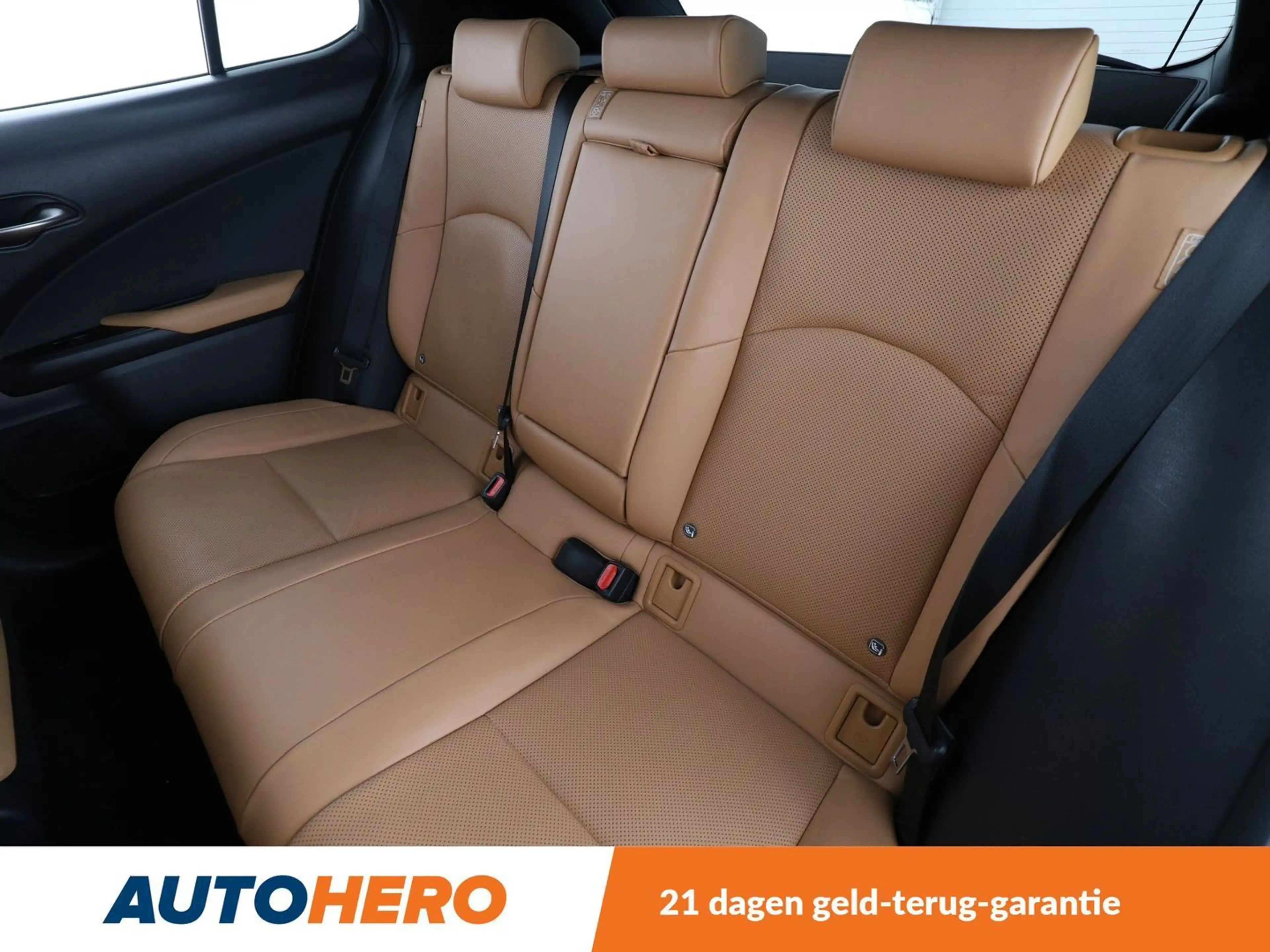 Lexus UX 250h UX 250h Luxury Line — photo 14