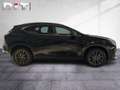 Lexus NX 350h Executive Line Klima Kamera Sitzhzg Czarny - thumbnail 5