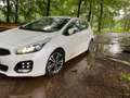 Kia Ceed / cee'd Ceed / cee'd 1.0 T-GDi GT-Line Wit - thumbnail 3