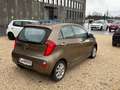 Kia Picanto Attract Braun - thumbnail 3