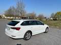 Skoda Octavia SKODA OCTAVIA 2.0 TDI EVO EXECUTIVE DSG - thumbnail 4