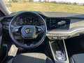 Skoda Octavia SKODA OCTAVIA 2.0 TDI EVO EXECUTIVE DSG - thumbnail 6