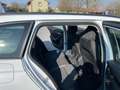 Skoda Octavia SKODA OCTAVIA 2.0 TDI EVO EXECUTIVE DSG - thumbnail 7