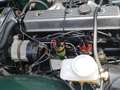 Triumph TR5 Tr250 Grün - thumbnail 19