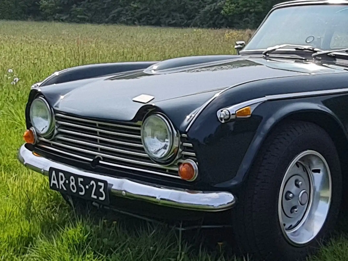 Triumph TR5 Tr250 Grün - 1